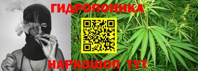 хмурый Малгобек