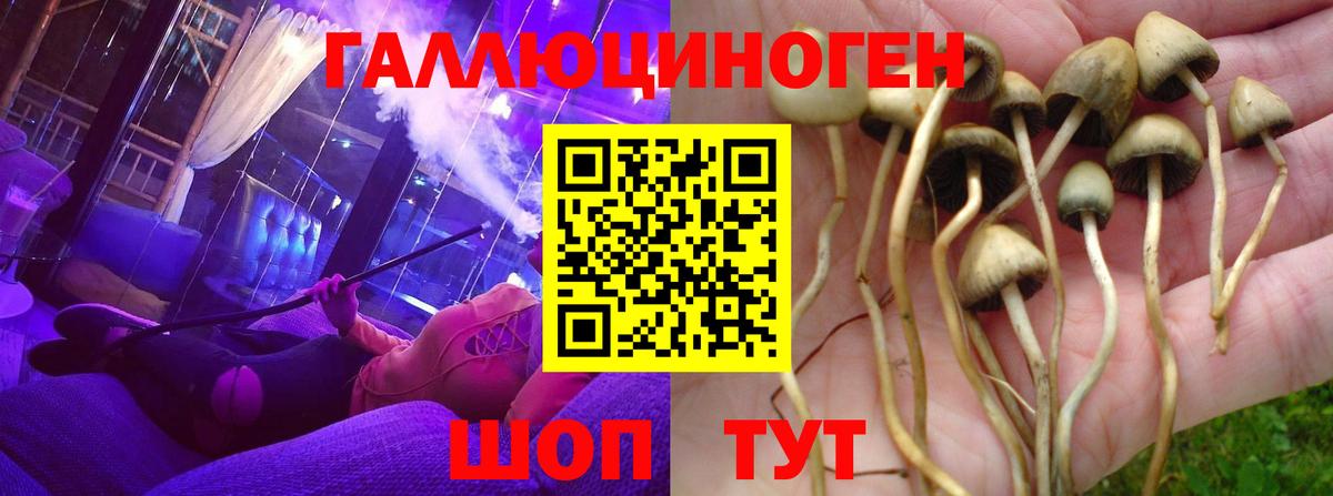 Псилоцибиновые грибы мухоморы  Галлюциногенные грибы MAGIC MUSHROOMS  Вход с VPN  Шатура 